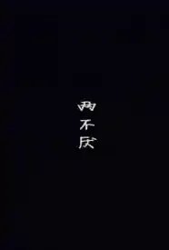 两不厌